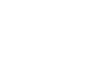 Quito Mosquito